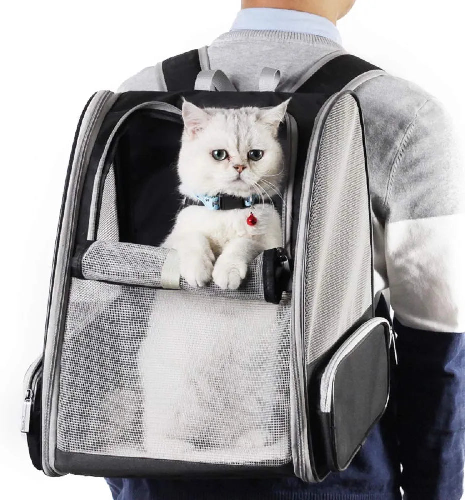 Cat Backpack Shoulder Strap, Bubble Backpack Pet Cat Outdoor Shoulder Strap