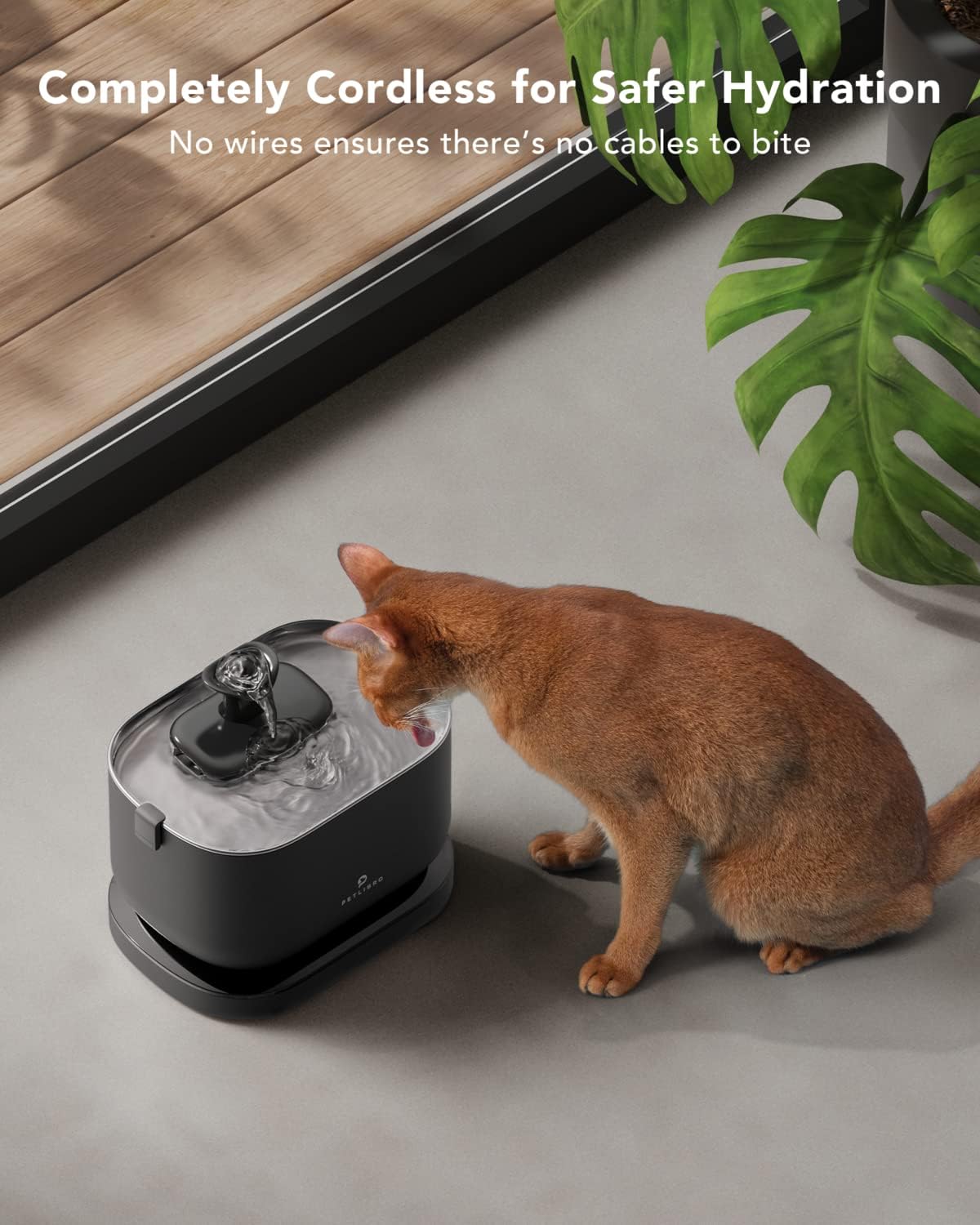 Smart Pet Water Fountain