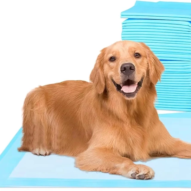 100pcs Extra-Large Leak-Proof Dog Training Pads